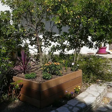 Avec Piscine Dans La Garrigue Entre Narbonne Et Méditerranée * Armissan